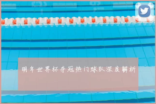 明年世界杯夺冠热门球队深度解析