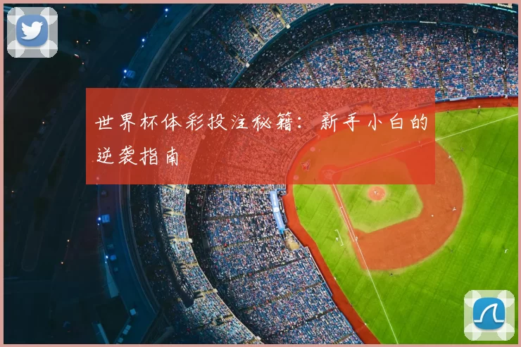 世界杯体彩投注秘籍:新手小白的逆袭指南