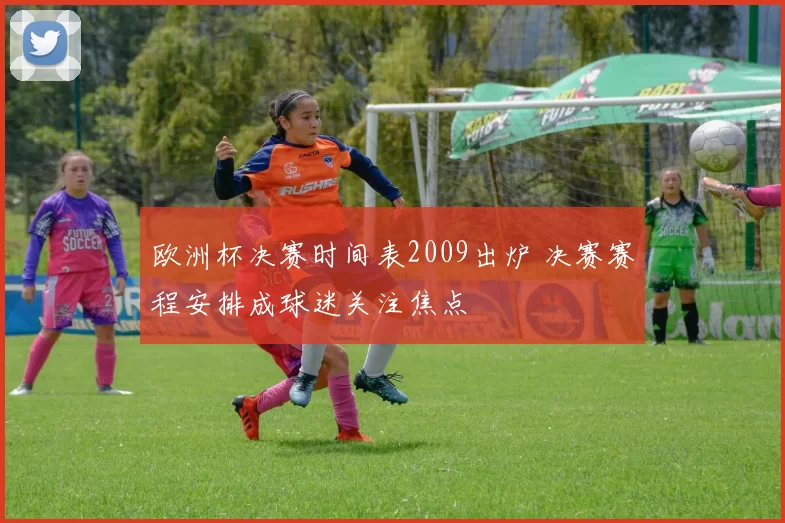 欧洲杯决赛时间表2009出炉 决赛赛程安排成球迷关注焦点