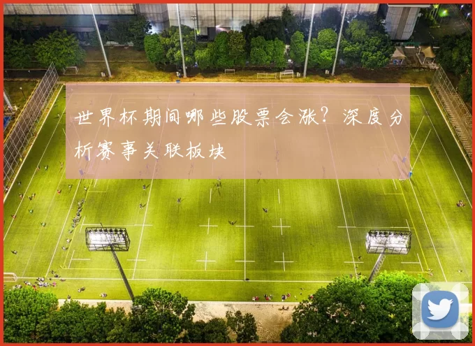 世界杯期间哪些股票会涨？深度分析赛事关联板块