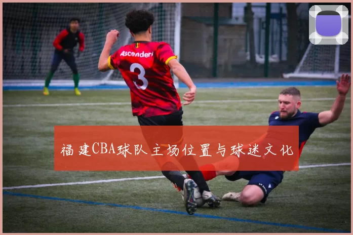福建CBA球队主场位置与球迷文化
