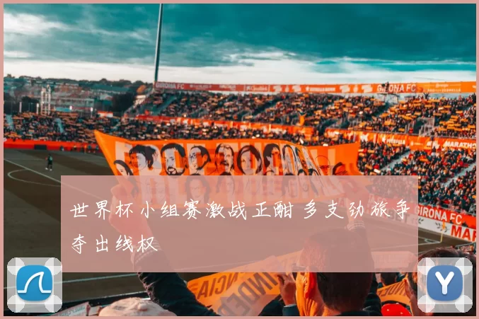 世界杯小组赛激战正酣 多支劲旅争夺出线权