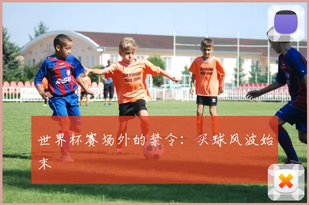 世界杯赛场外的禁令：买球风波始末