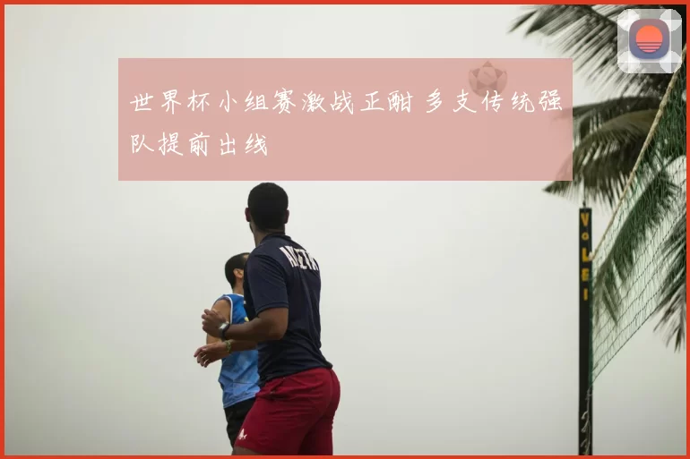 世界杯小组赛激战正酣 多支传统强队提前出线