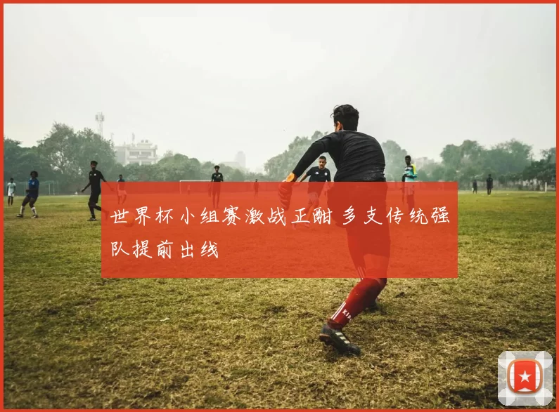 世界杯小组赛激战正酣 多支传统强队提前出线